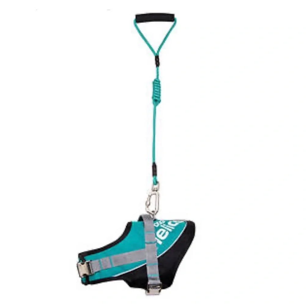 HELIOS • Teal Bark Mudder Leash Harness Dog Walker